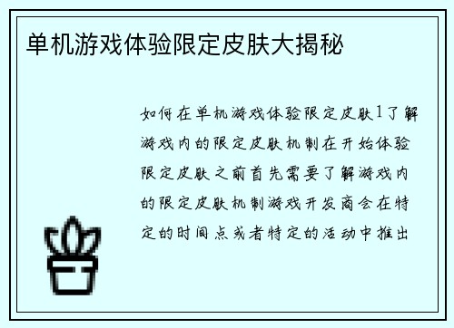 单机游戏体验限定皮肤大揭秘
